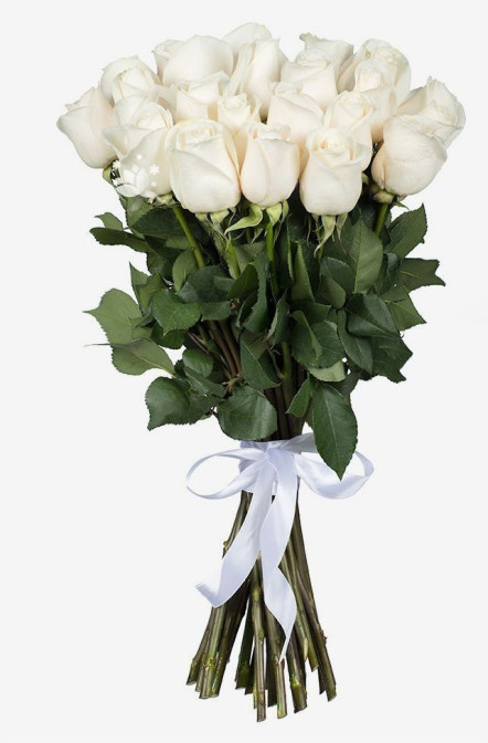 25 ורדים לבנים