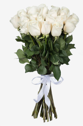 Белые розы Image