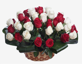Red and White Roses Basket Image