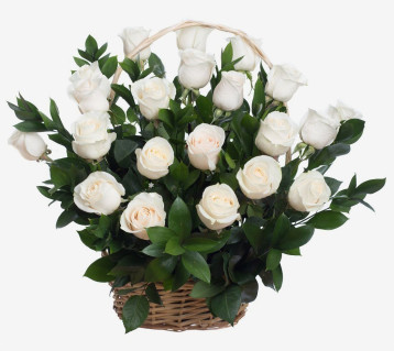 סלסלת ורדים לבנים