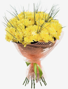 12 Yellow Сhrysanthemums Image
