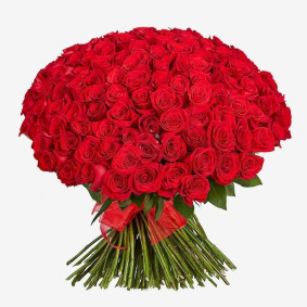 150 красных роз Image