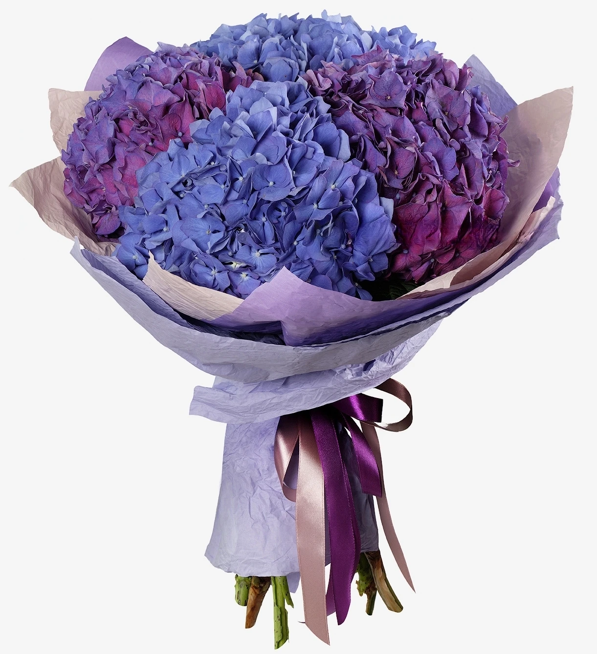Hydrangea Bouquet