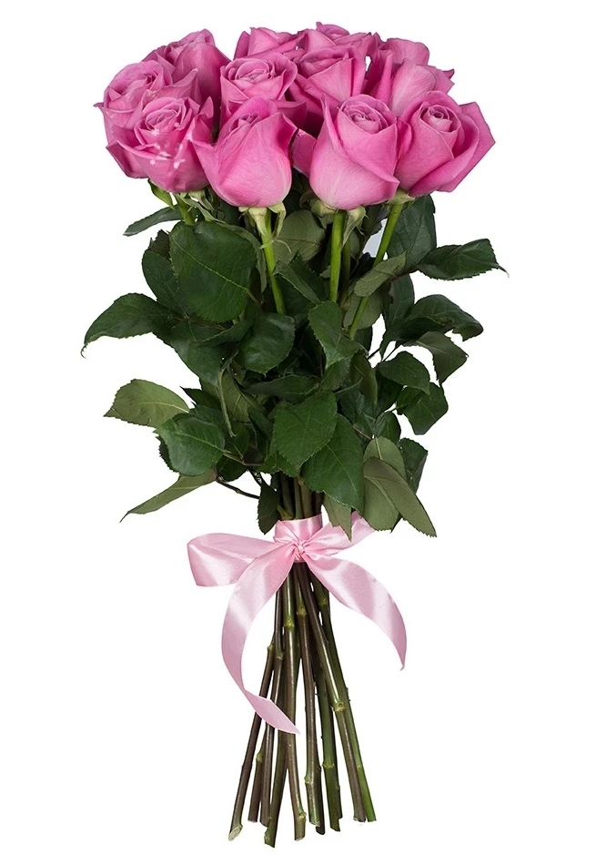 Pink Roses Premium