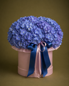 Hydrangea Box